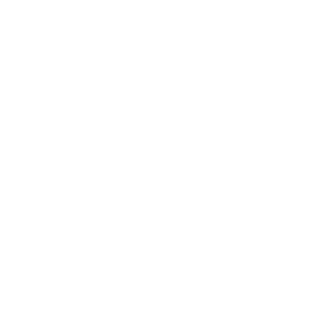 NamDPI
